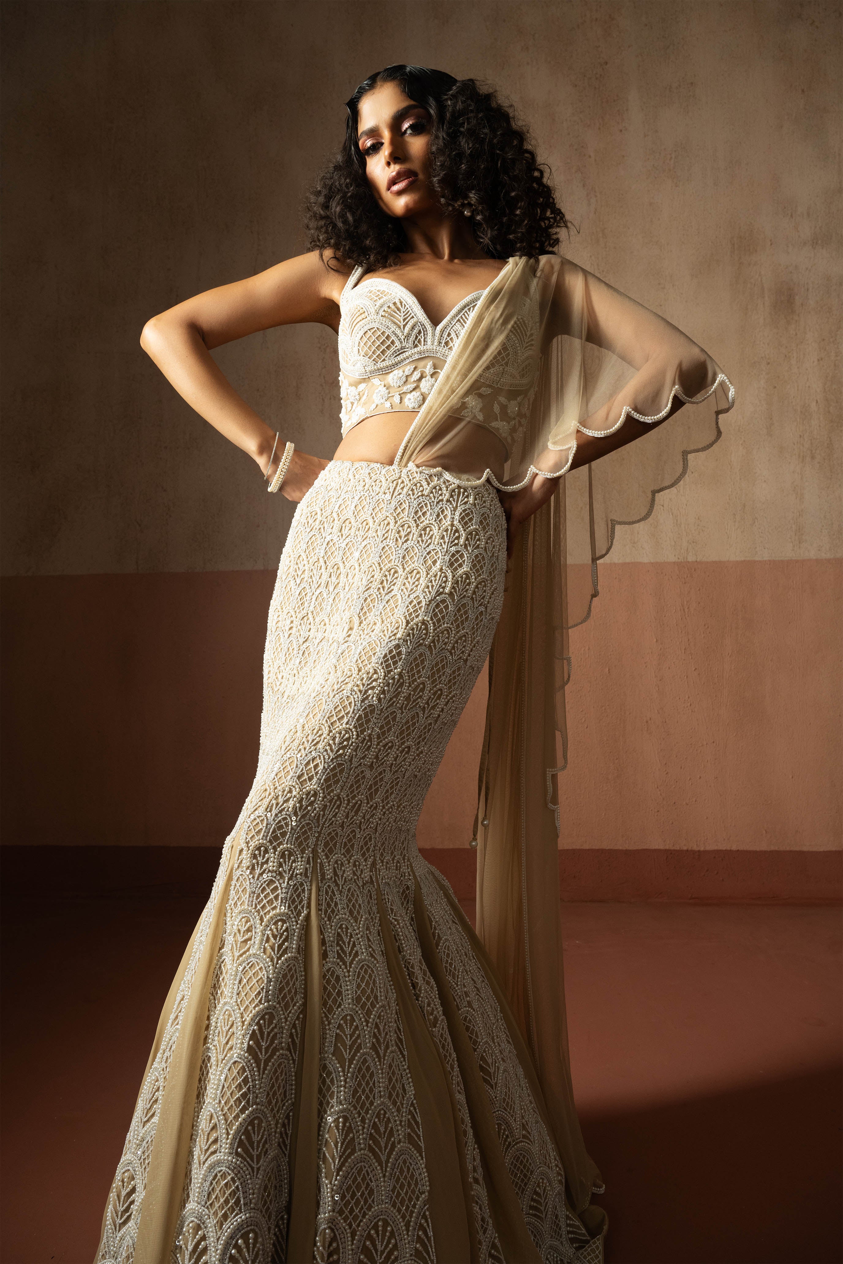 Fishtail Style, Beige & Ivory Hand Embroidered, Net & Georgette Fishtail Saree, Concept Saree