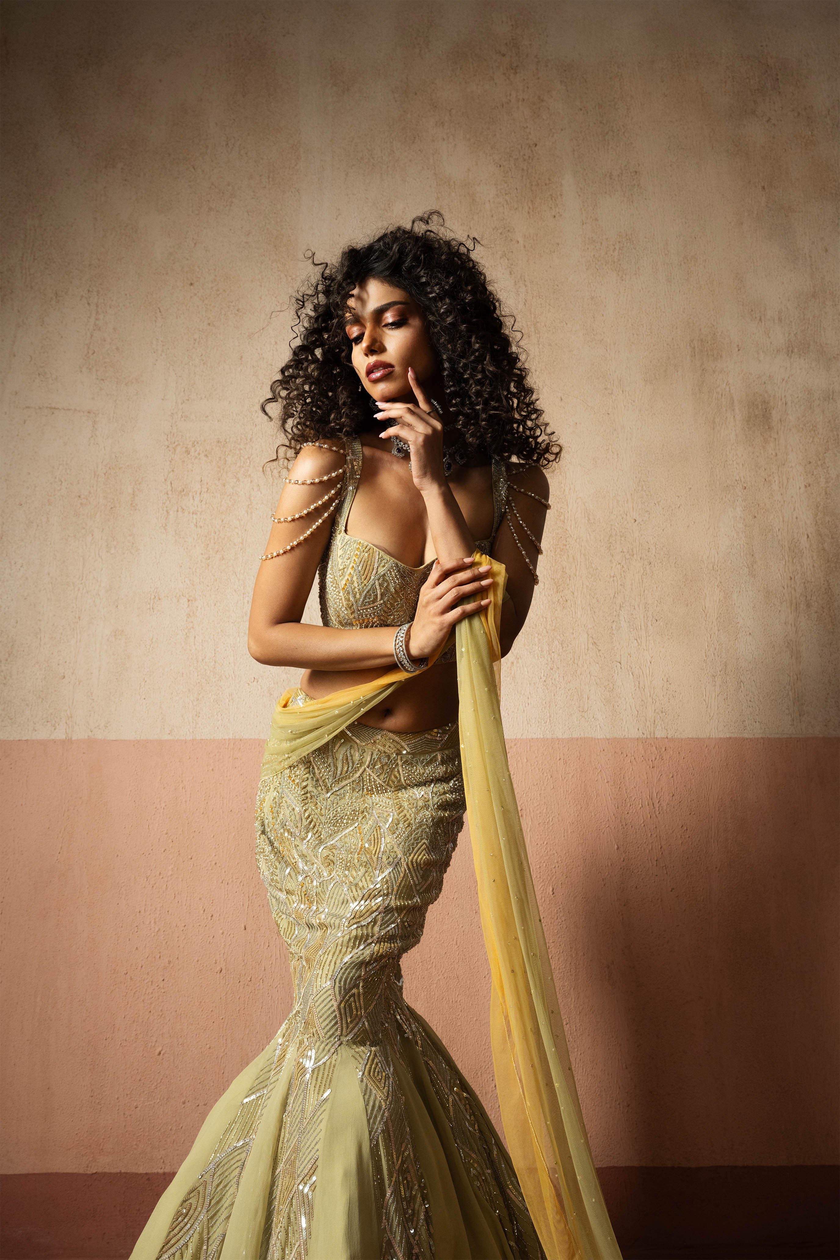 Fishtail Style, Sage Green & Pastel Yellow Hand Embroidered, Net & Georgette Fishtail Saree, Concept Saree