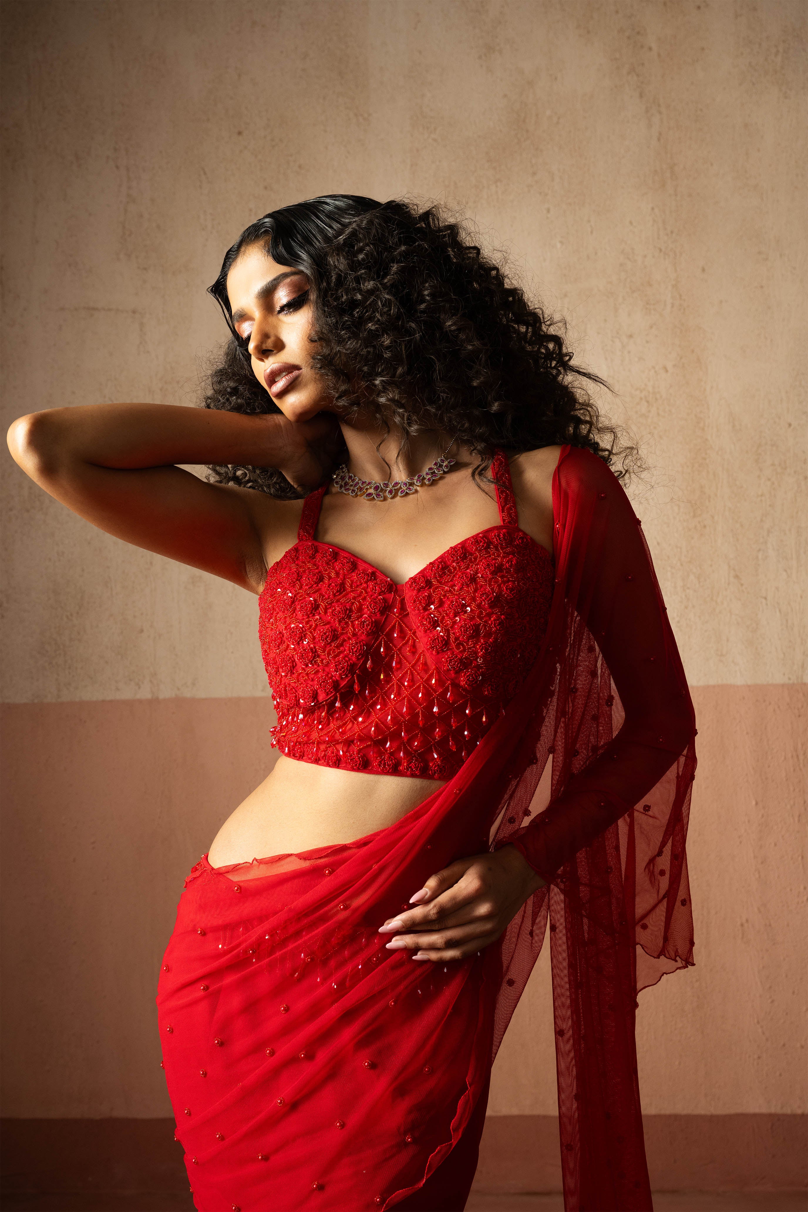 Fishtail Style, Red & Fuschia Pink Coloured, Hand Embroidered, Net & Georgette Fishtail Saree, Concept Saree