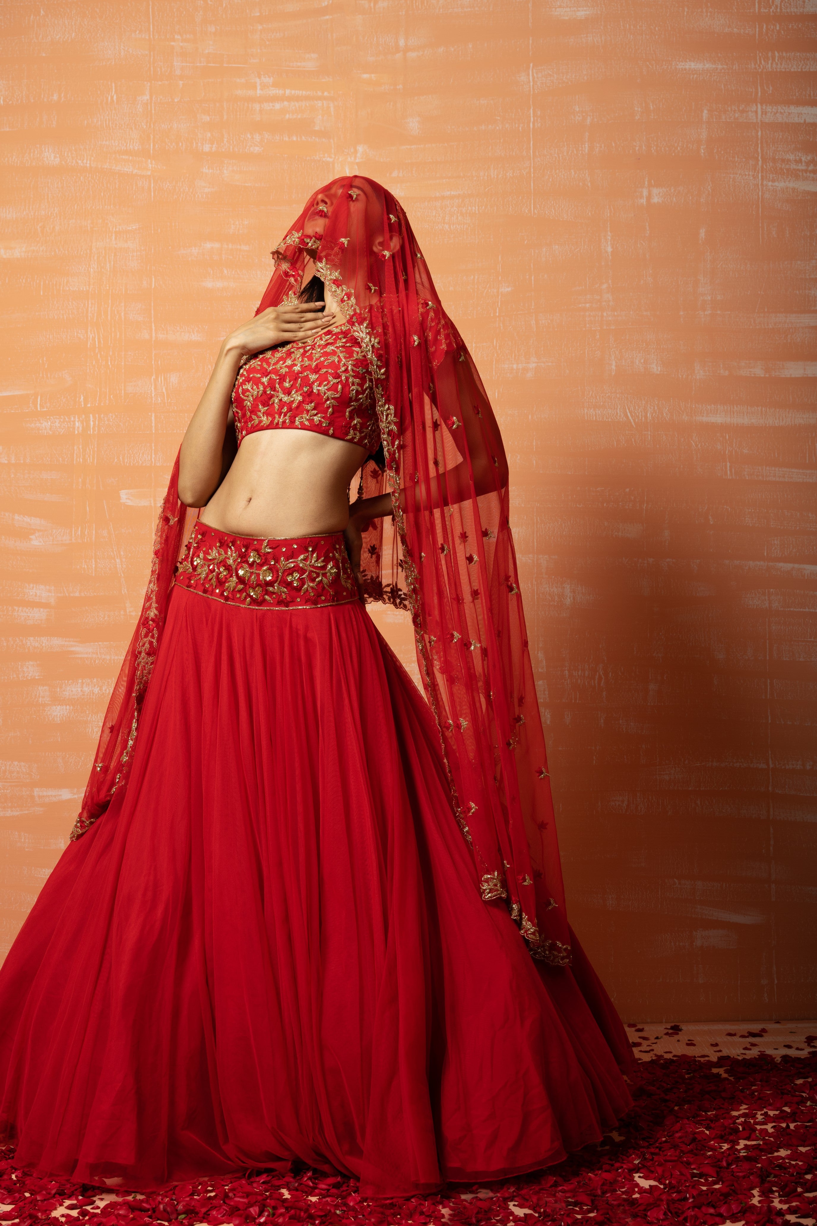 Red soft net lehenga with intricate hand embroidery for an ethereal look.