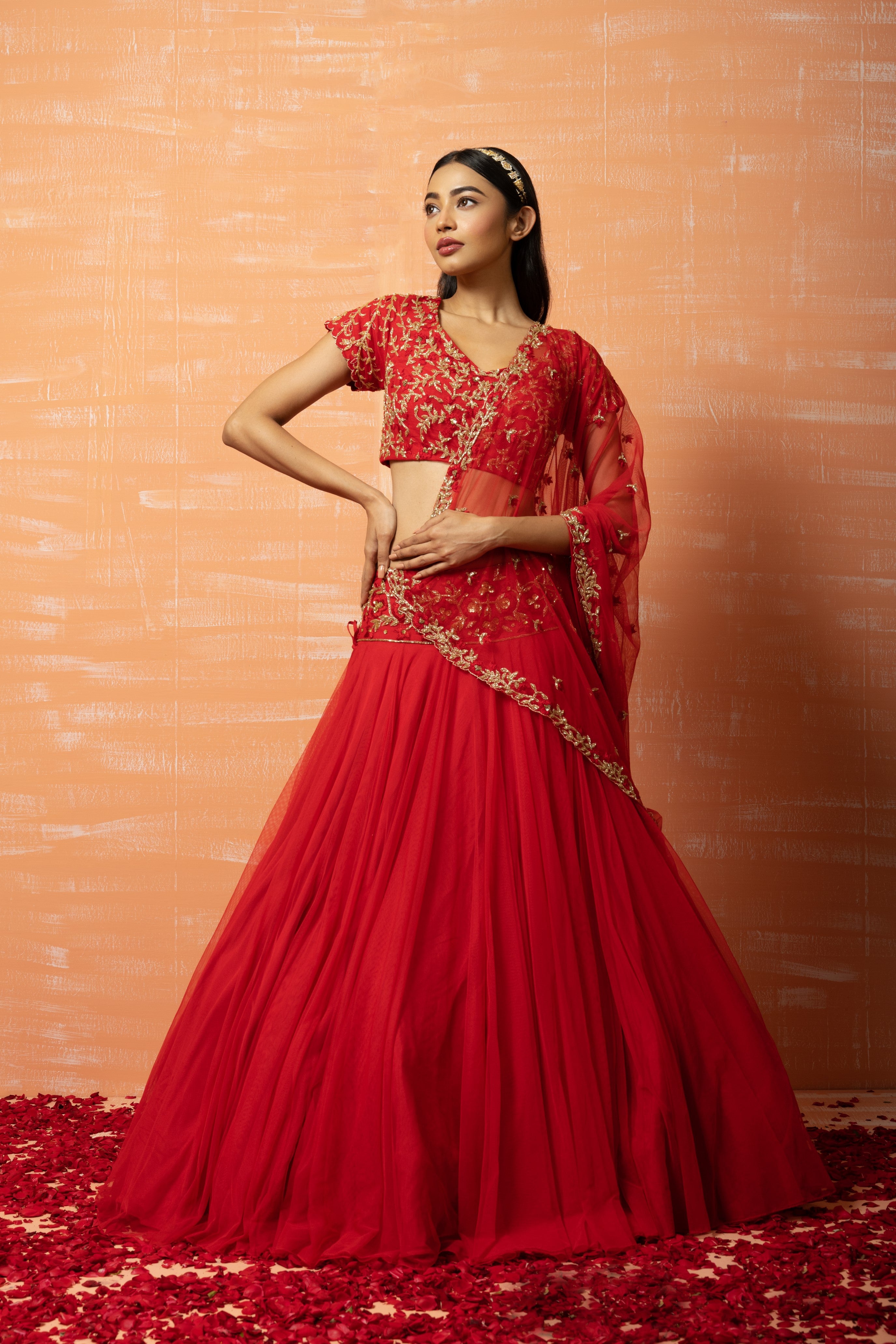 Red soft net lehenga with intricate hand embroidery for an ethereal look.