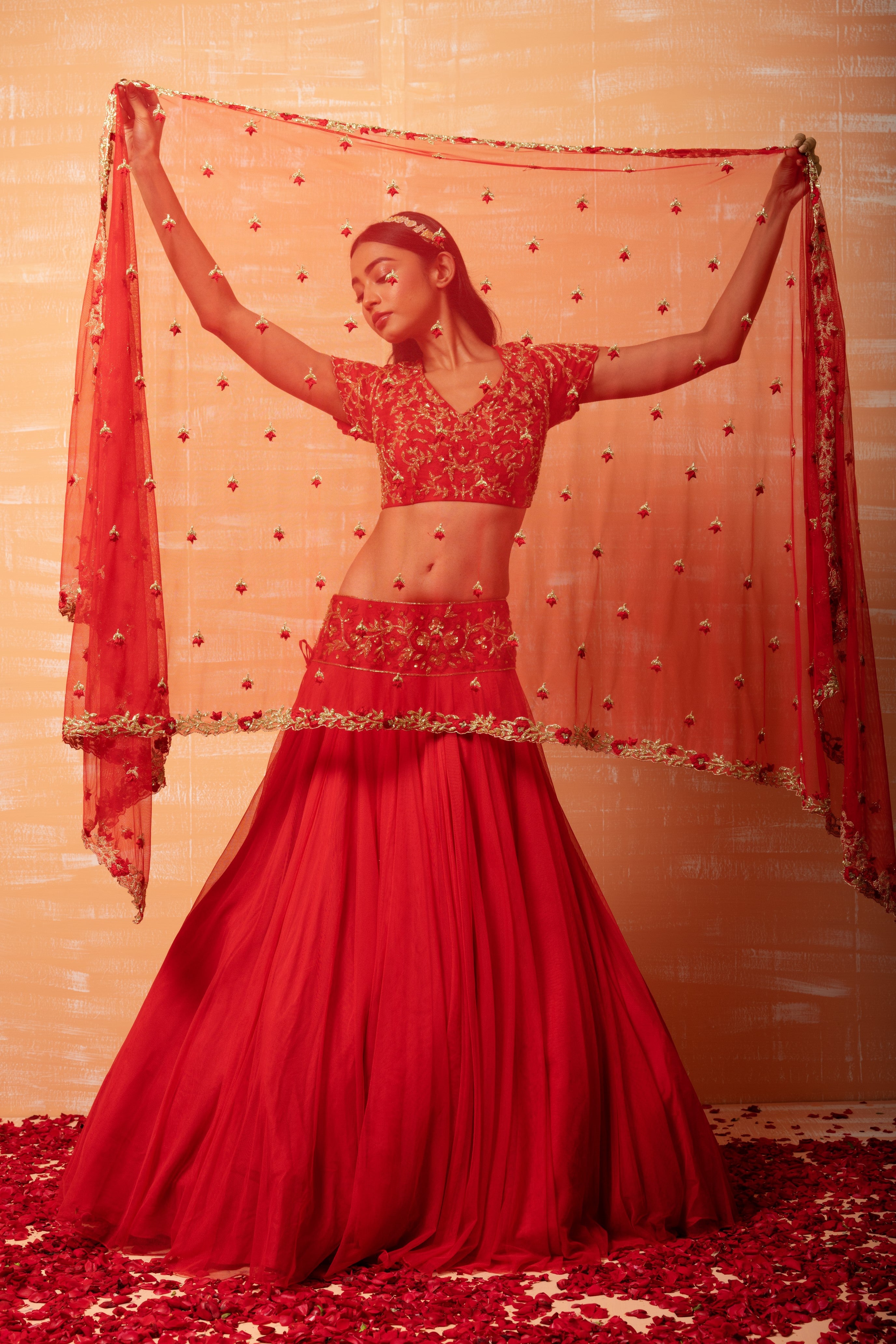 Red soft net lehenga with intricate hand embroidery for an ethereal look.