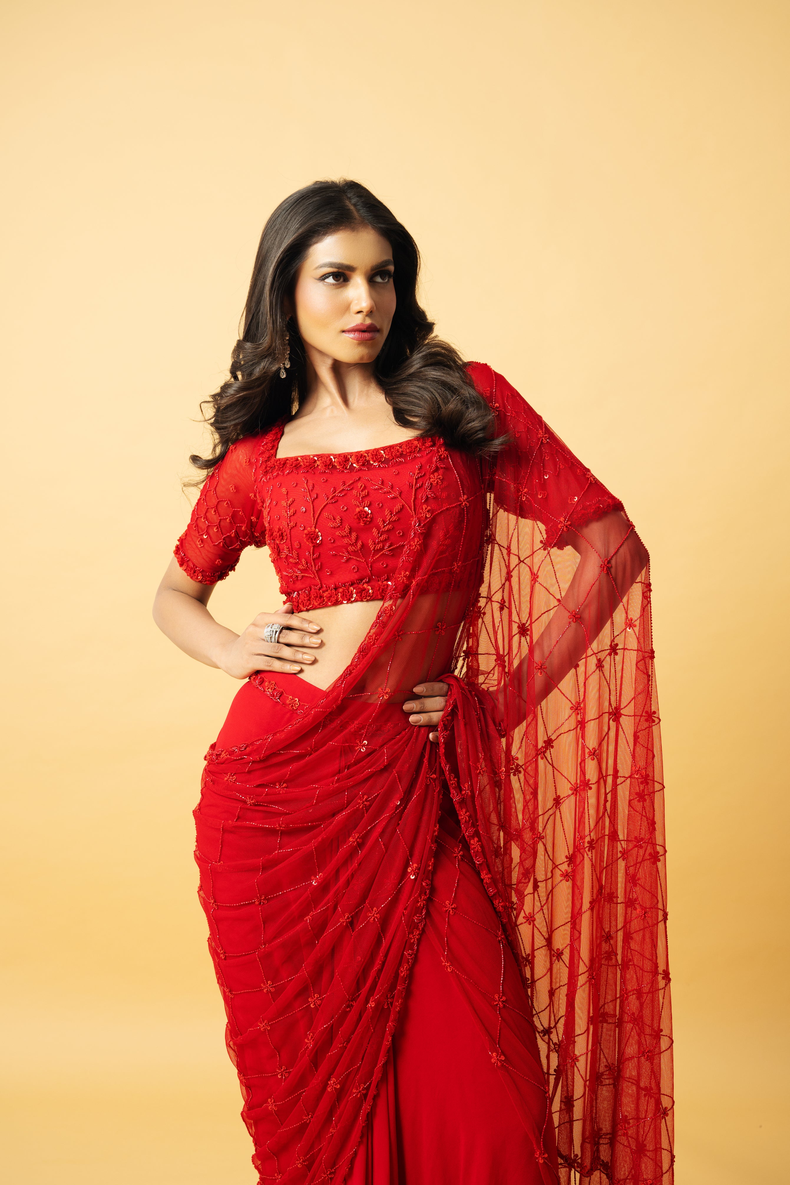 Red soft net and georgette saree with intricate hand embroidery.