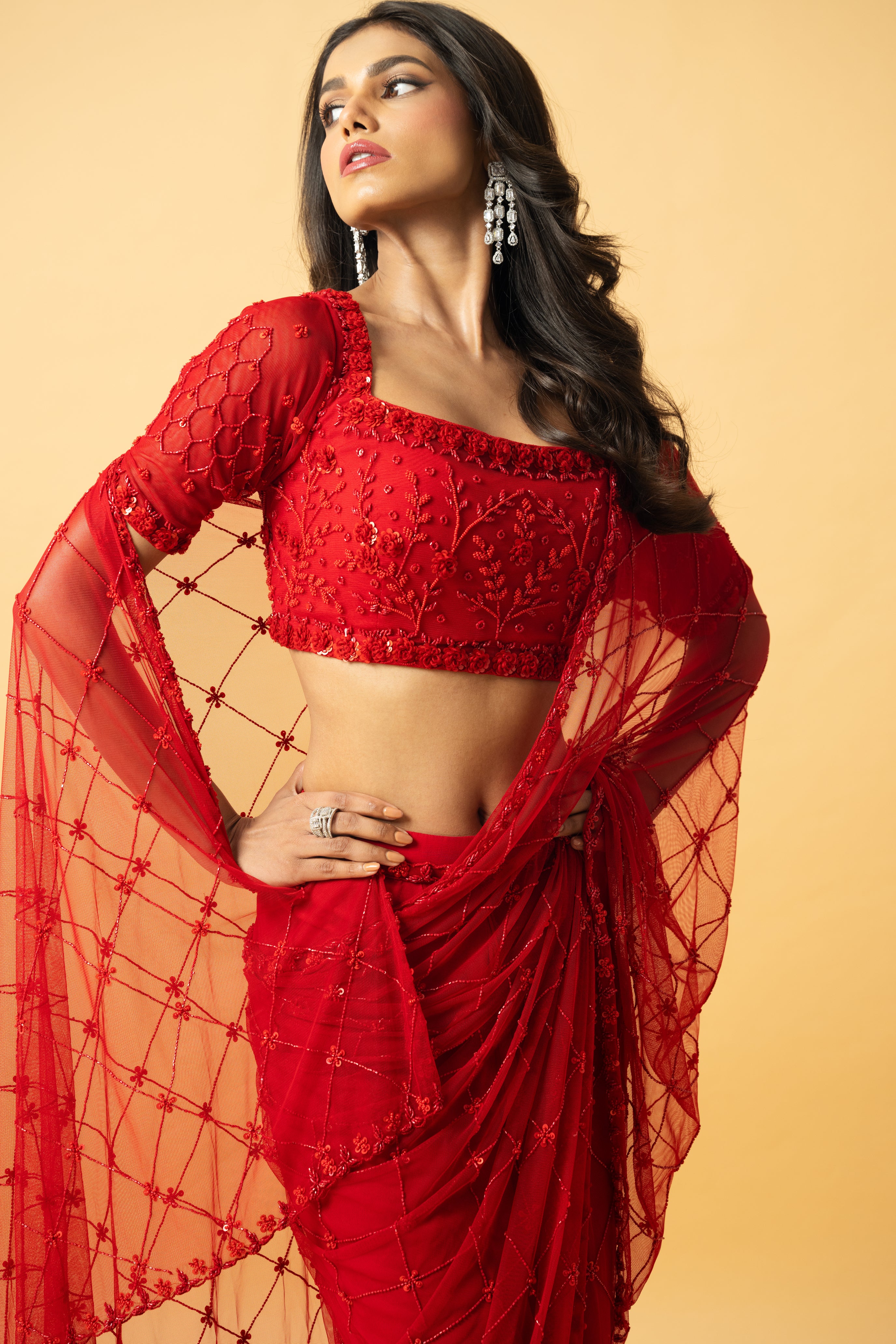 Red soft net and georgette saree with intricate hand embroidery.