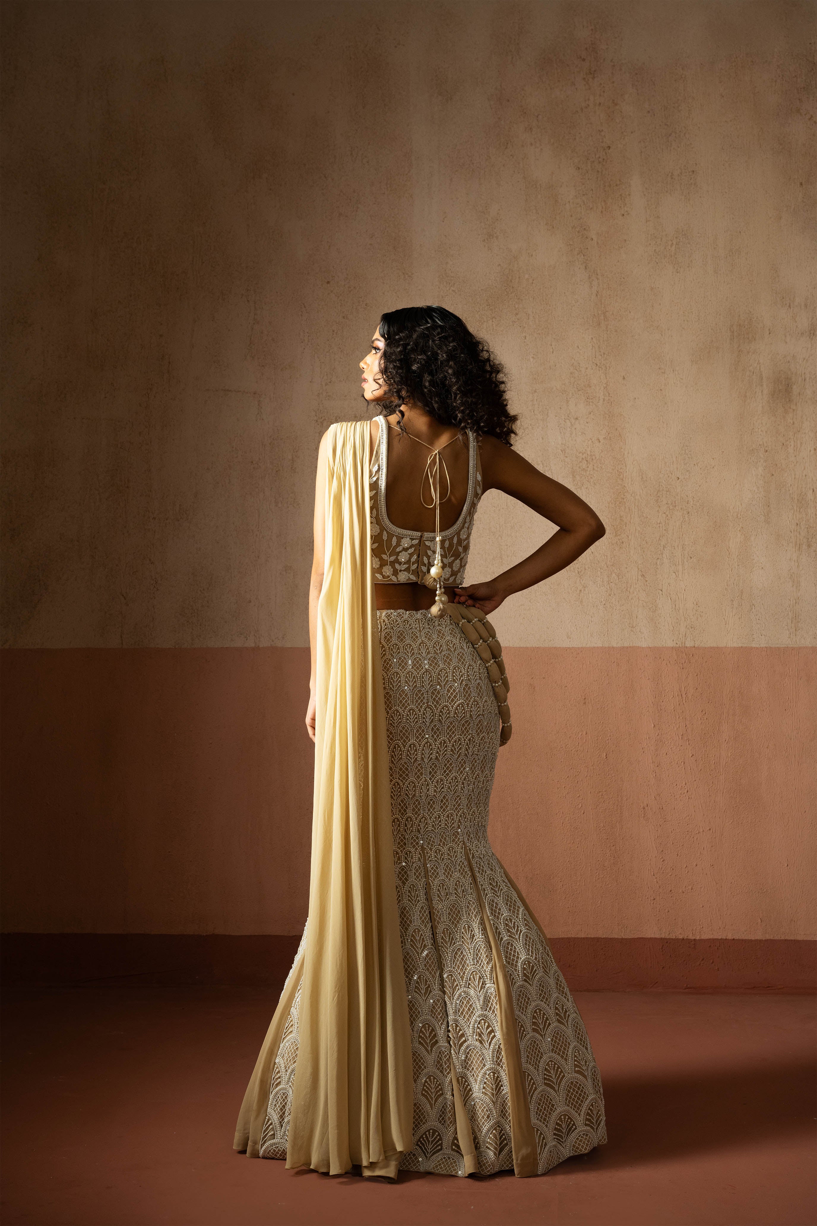 Fishtail Style, Beige & Ivory Hand Embroidered, Net & Georgette Fishtail Saree, Concept Saree