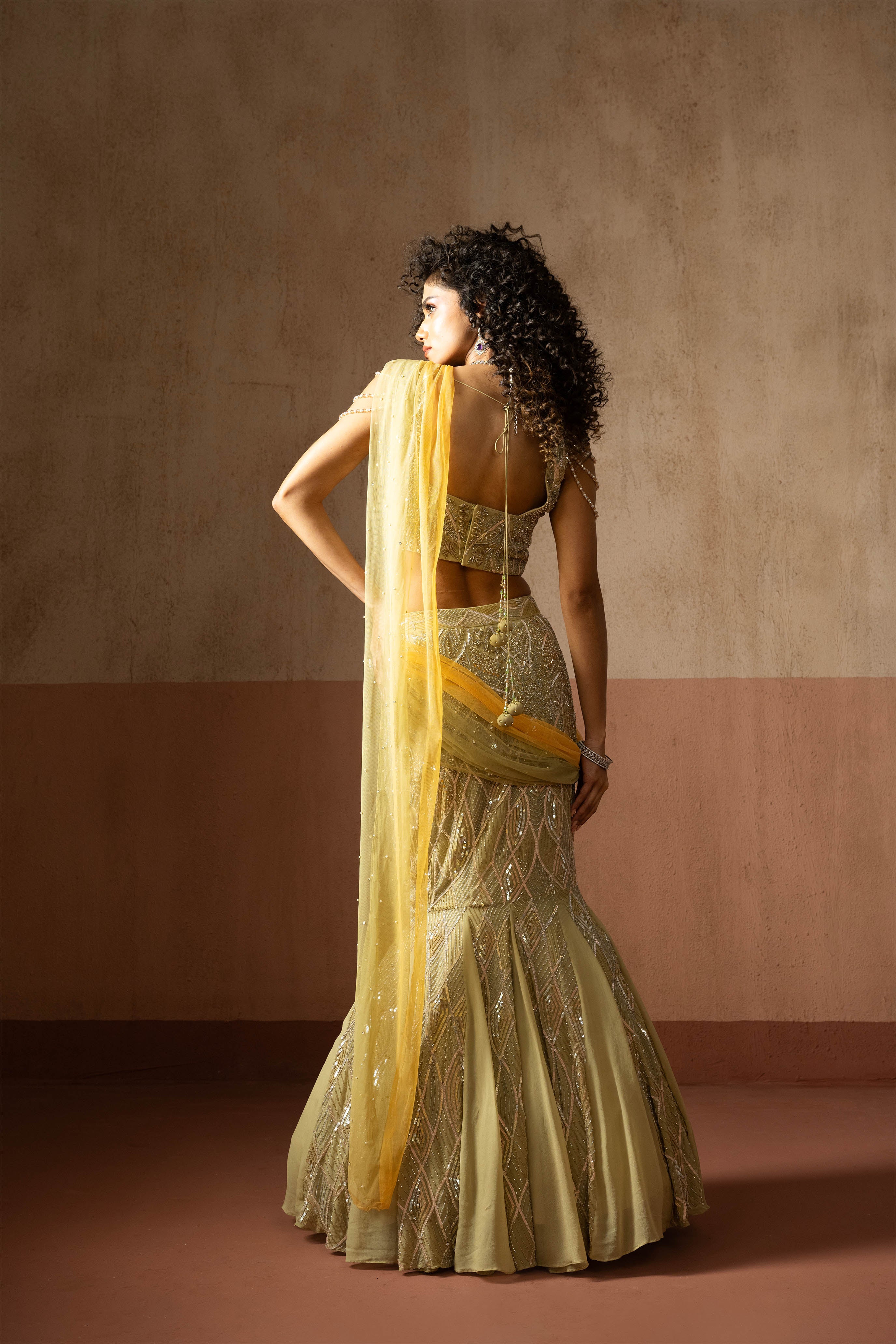 Fishtail Style, Sage Green & Pastel Yellow Hand Embroidered, Net & Georgette Fishtail Saree, Concept Saree