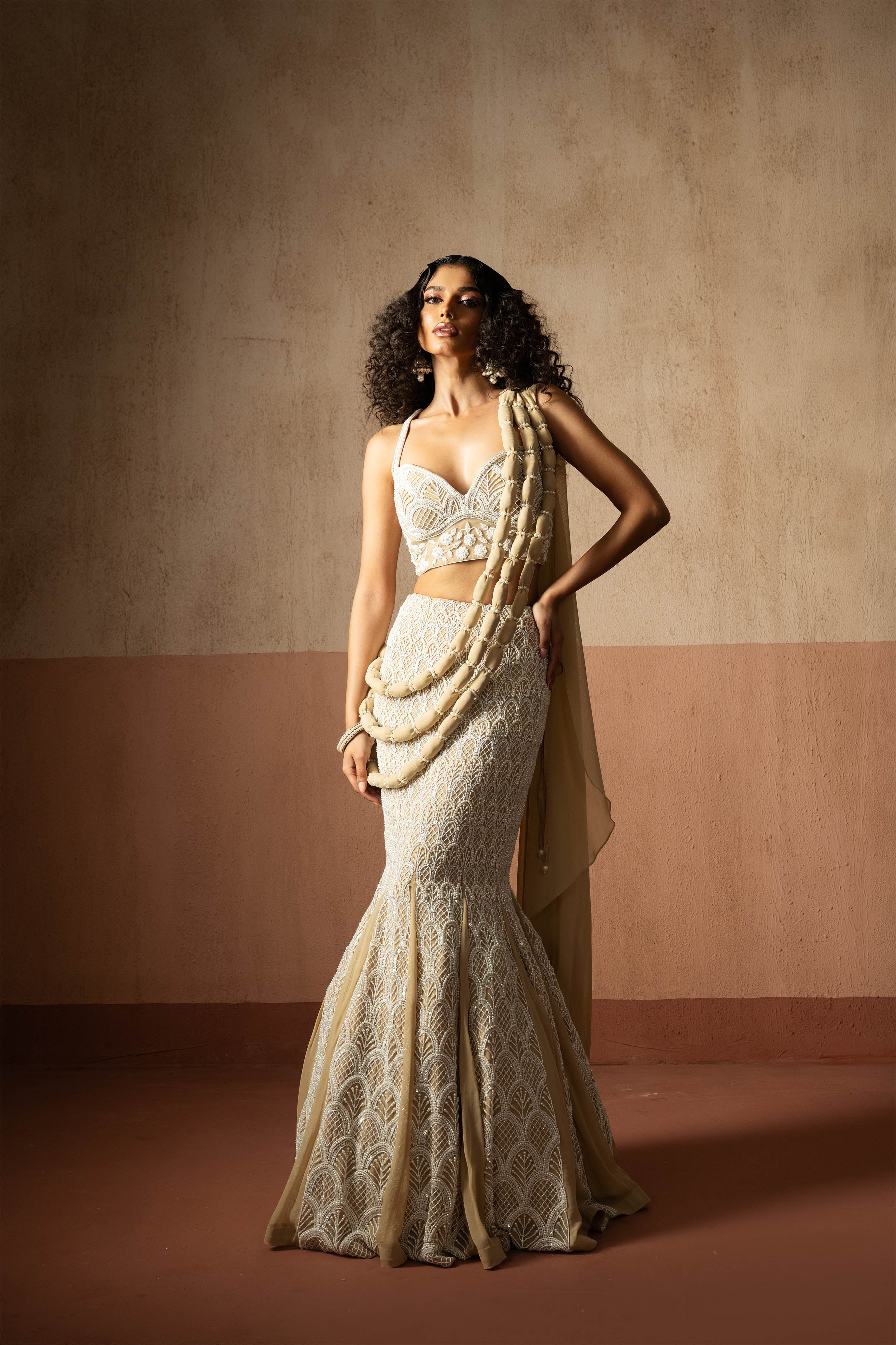 Fishtail Style, Beige & Ivory Hand Embroidered, Net & Georgette Fishtail Saree, Concept Saree